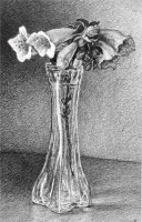 LBL21-Foerster_Carol_1 LBL21-Foerster_Carol_1