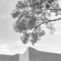 LBL21-Luccarelli_Luigi_3 LBL21-Luccarelli_Luigi_3