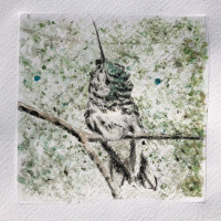 LBL21-atrostic_amanda_2 LBL21-atrostic_amanda_2