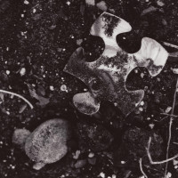 LBL-Carr_Patrick_1