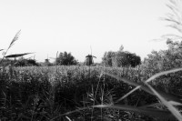 LBL-Dawson_Kaden_02