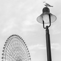 LBL-Luccarelli_Luigi_2