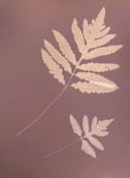 LBL23-Fallender_Suzanne_4