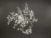 LBL23-Fallender_Suzanne_1