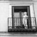 LBL23-Luccarelli_Luigi_1