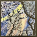 LBL23-Moore_Marlene_2