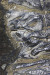 LBL23-Terasaki_Teri_2