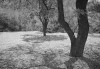 LBL23-Timpany_Mark_1