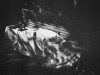 LBL23-Timpany_Mark_4