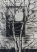 LBL23-beatty_susanna_1