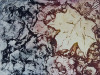 LBL23-beatty_susanna_3