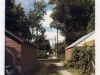 Donato_Mary_1 Donato_Mary_1