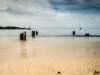Schwann_Samantha_2 Schwann_Samantha_2