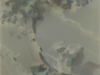 Trennert_Shari_1 Trennert_Shari_1