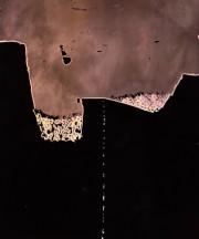 collins_douglas_1