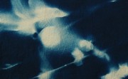 curley_sarah-4