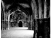 bischof_michael_3-web