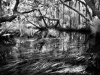 dimmitt_benjamin_3-web