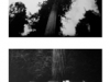 gentilli_toni_003-web