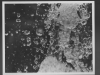 gerencser_joanne_3-web