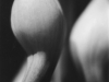 guignard_robert_4-web