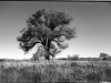 hughes_mc_4-web