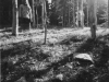 matyas_emily_2-web