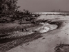 mccoy_timothy_5-web