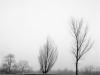 minahan_alyssa_1-web