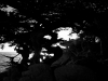 palmer_chris_1-web