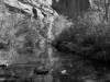 rasmussen_stephen_01-web