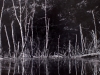 rice_robert_2-web