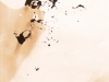 sarachek_norman_1-web