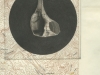 schorr_laurie_1-web