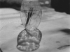 williams_brittany_5-web