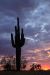 Heaton_Eric_32