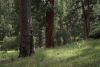 Heaton_Eric_34