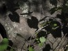 Jodi_Koller_2_ Jodi_Koller_2_