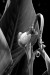 Jodi_Koller_3_ Jodi_Koller_3_