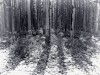Jodi_Koller_4_ Jodi_Koller_4_