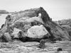 Marmolejo_Nick_5_Nb10012d_Saddle-Horn_Salt-Point-CALIFORNIA Marmolejo_Nick_5_Nb10012d_Saddle-Horn_Salt-Point-CALIFORNIA