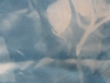 Curley_Sarah2 Curley_Sarah2
