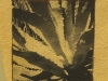 Ernesto Esquer
