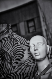 Andy Fritz Bald Mannequin Pigmented Inkjet Print 2015 $150