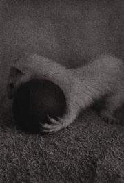 BK Skaggs Red Ball Session #2 Gelatin Silver Lith Print 2015 $85