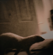 BK Skaggs Passing Through Gelatin Silver Lith Print 2015 $105