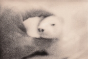 BK Skaggs Egg Gelatin Silver Lith Print 2015 $85