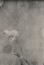 BK Skaggs Descending a Ferret Gelatin Silver Lith Print 2015 $85