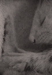 BK Skaggs No Space Too Small Gelatin Silver Lith Print 2015 $85