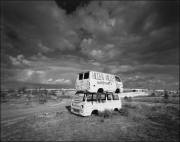 Brad Armstrong Aspen Grove (Edition 1/10) Pigmented Inkjet Print on Epson Ultra Smooth Fine Art Paper 2014 $1175 / $975 Unframed